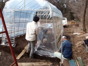 畑のビニールハウスをたてている最中の男性2人。