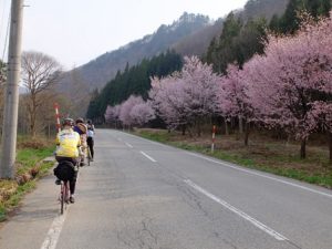 南会津サポートクラブ　お花見サイクリング