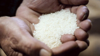 【募集中】2026年3月28日（土）のんびる読者会「いま知りたいお米と農家の話」